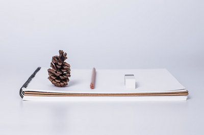 北京大學在職研究生 北京大學在職研究生